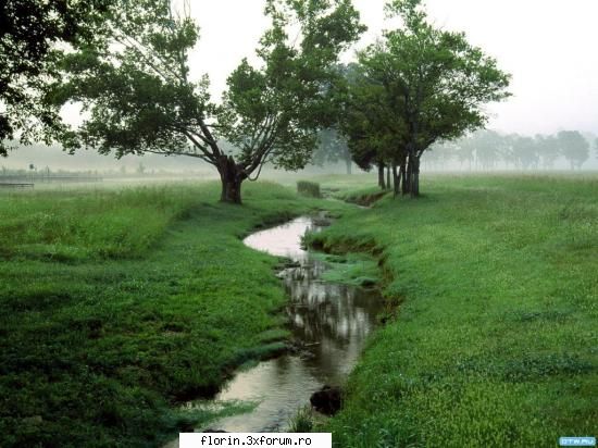 wallpapers nature