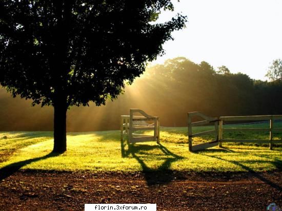 wallpapers nature