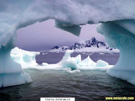 beautifull wallpapers
