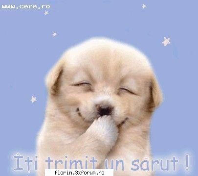 cine are bage aici.