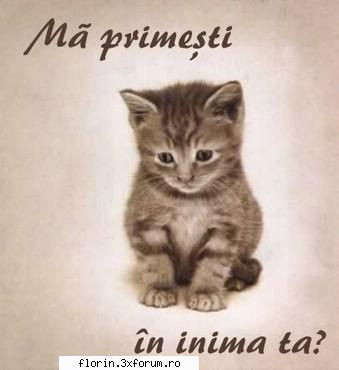 cine are bage aici.