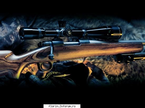 Arme - florinflorin - Wallpapers