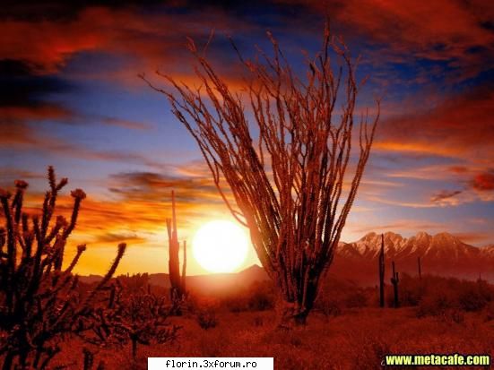 Beautifull Wallpapers - florinflorin - Wallpapers