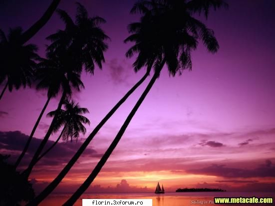 Beautifull Wallpapers - florinflorin - Wallpapers