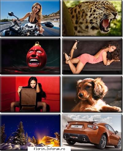 Computer Desktop Wallpapers Collection (292) - Code: Big Wallpaper Archive Code - Wallpapers