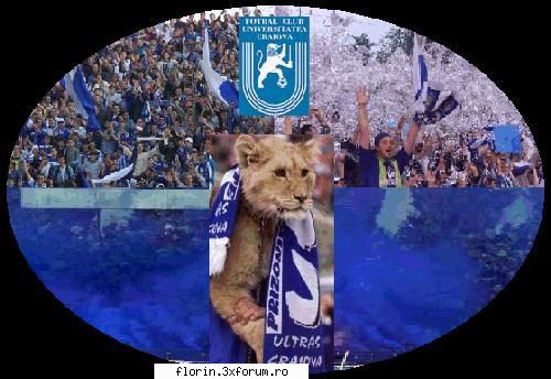 Craiova - florinflorin - Sport