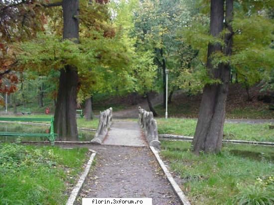 Craiova - florinflorin - Travel & Geographic