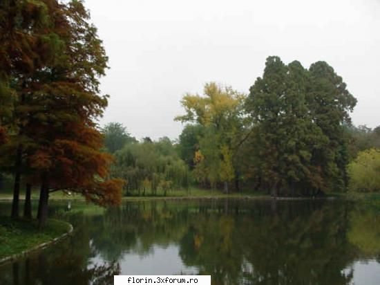 Craiova - florinflorin - Travel & Geographic