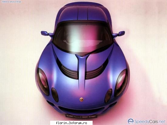Lotus - florinflorin - Masini