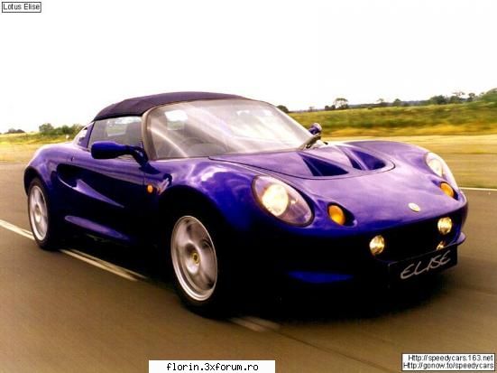 Lotus - florinflorin - Masini