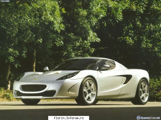 Lotus - florinflorin - Masini