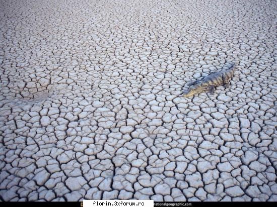 NationalGeographicWallpapers - florinflorin - Wallpapers