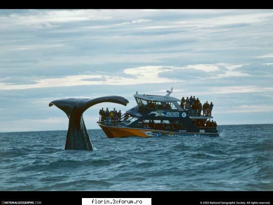 NationalGeographicWallpapers - Off Kaikoura Peninsula, South Island, New Zealand - Wallpapers