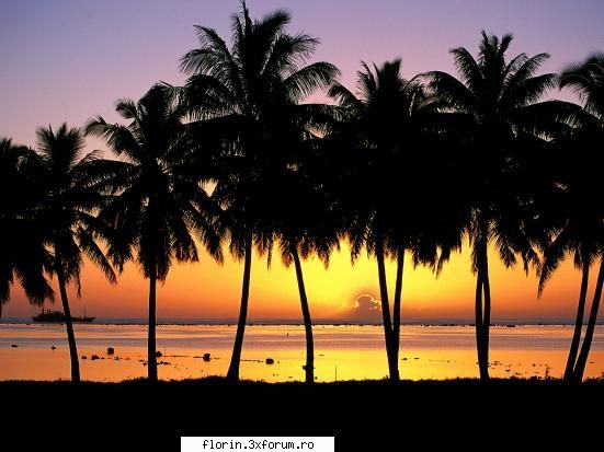 Nature_Wallpapers_Sunsets - florinflorin - Wallpapers