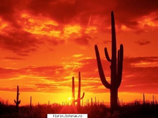 Nature_Wallpapers_Sunsets - florinflorin - Wallpapers