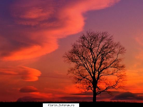 Nature_Wallpapers_Sunsets - florinflorin - Wallpapers