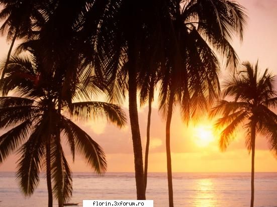 Nature_Wallpapers_Sunsets - florinflorin - Wallpapers