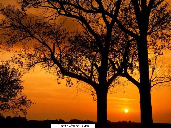 Nature_Wallpapers_Sunsets - florinflorin - Wallpapers
