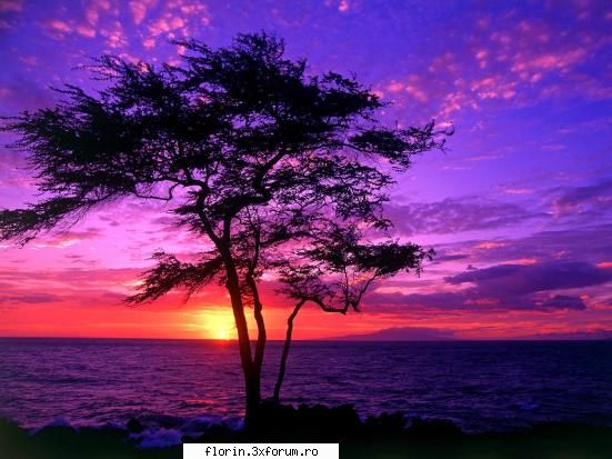 Nature_Wallpapers_Sunsets - florinflorin - Wallpapers