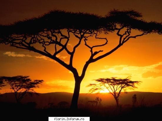 Nature_Wallpapers_Sunsets - florinflorin - Wallpapers