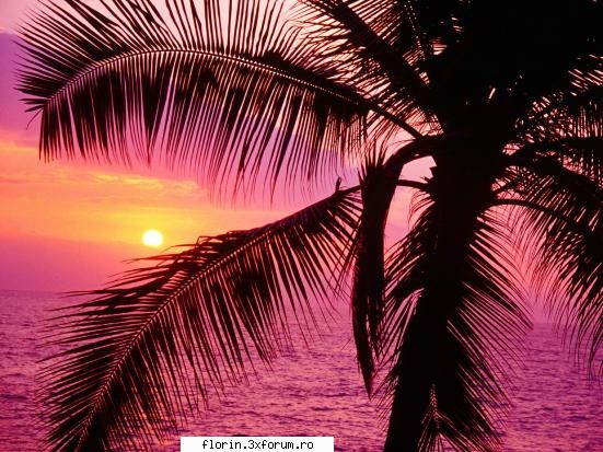 Nature_Wallpapers_Sunsets - florinflorin - Wallpapers
