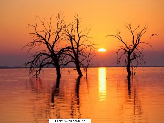 Nature_Wallpapers_Sunsets - florinflorin - Wallpapers