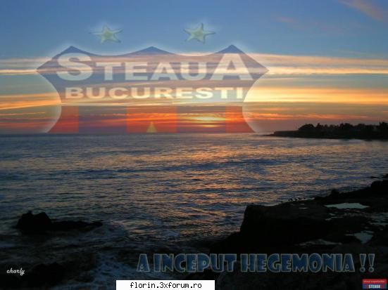 Poze steaua - florinflorin - Sport