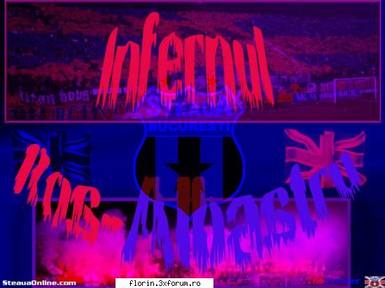 Poze steaua - florinflorin - Sport