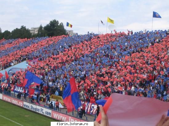 Poze steaua - florinflorin - Sport