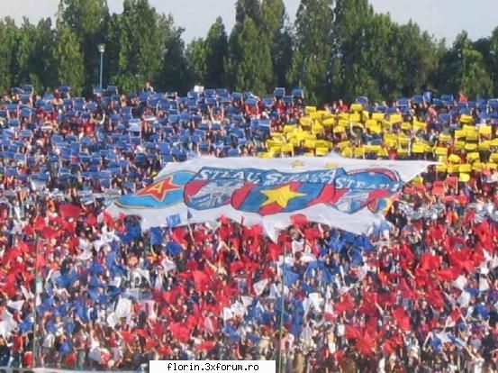 Poze steaua - florinflorin - Sport