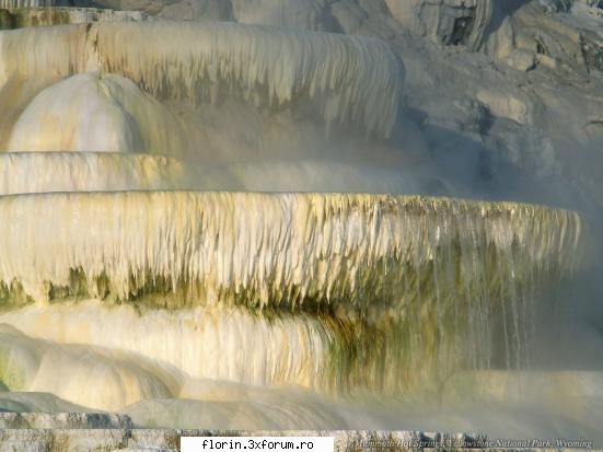 Very nice wallpapers - florinflorin - Wallpapers