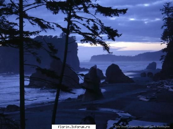 Very nice wallpapers - florinflorin - Wallpapers