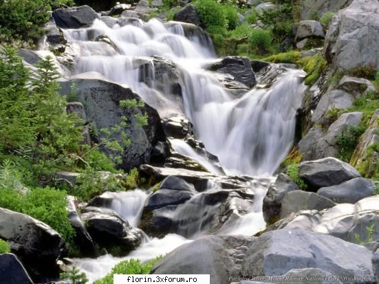 Very nice wallpapers - florinflorin - Wallpapers