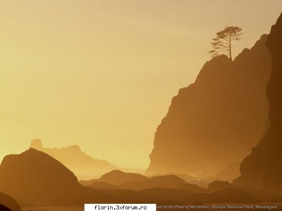 Very nice wallpapers - florinflorin - Wallpapers