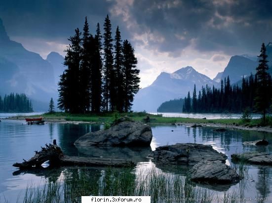 Very nice wallpapers 2 - florinflorin - Wallpapers