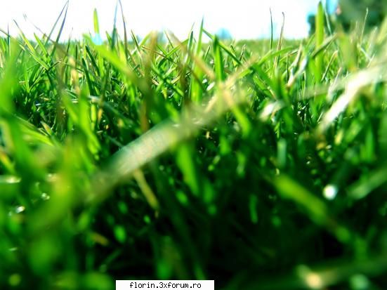 Vista_Wallpapers - florinflorin - Wallpapers