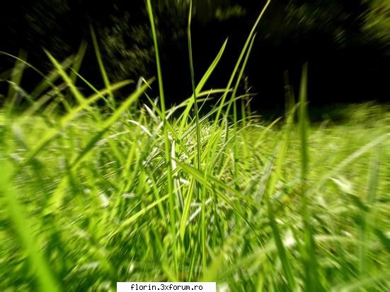 Vista_Wallpapers - florinflorin - Wallpapers