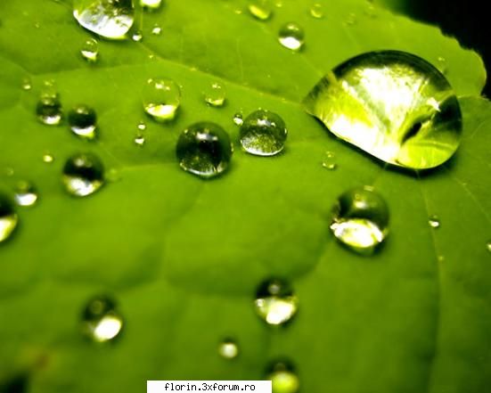 Vista_Wallpapers - florinflorin - Wallpapers