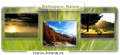 Wallpapers Nature - florinflorin - Wallpapers