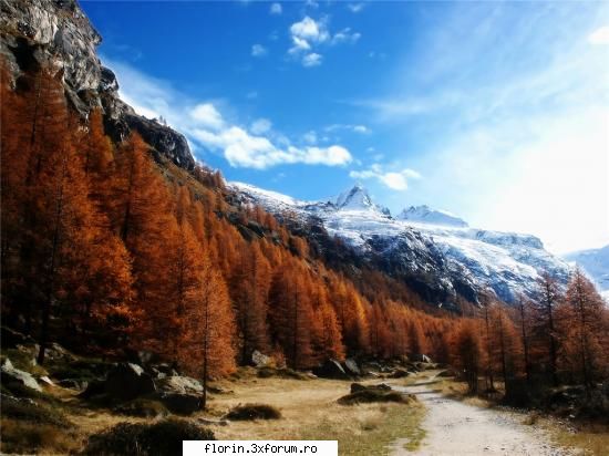 Wallpapers Nature - florinflorin - Wallpapers