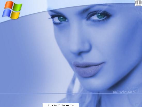 Xp - florinflorin - Wallpapers