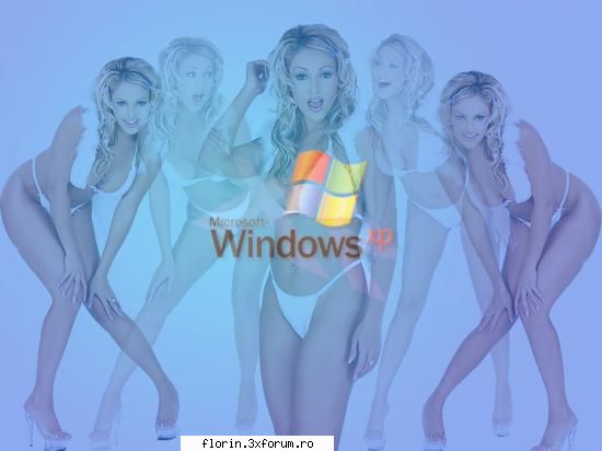 Xp - florinflorin - Wallpapers