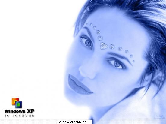 Xp - florinflorin - Wallpapers