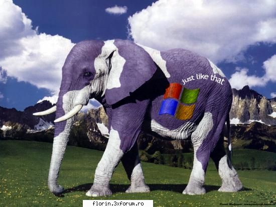 Xp - florinflorin - Wallpapers