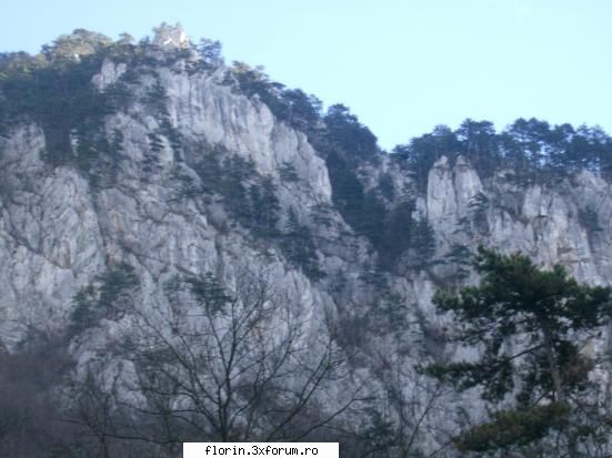 herculane - florinflorin - Travel & Geographic