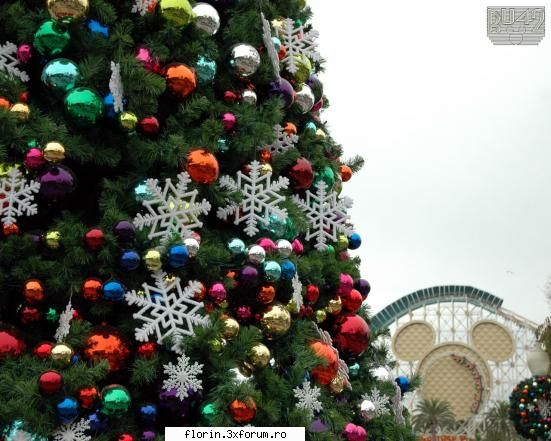 new year chritsmax - florinflorin - Wallpapers
