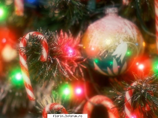new year chritsmax - florinflorin - Wallpapers