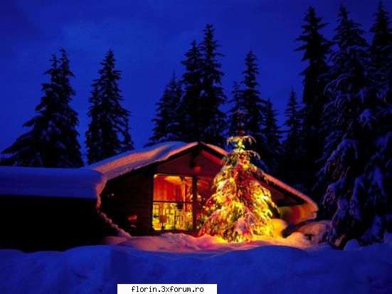 new year chritsmax - florinflorin - Wallpapers