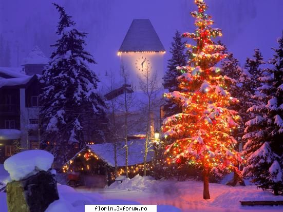 new year chritsmax - florinflorin - Wallpapers