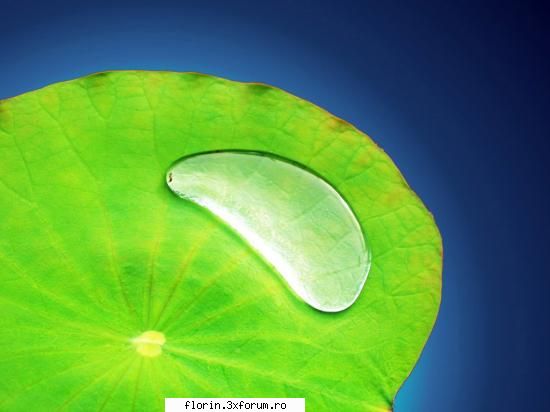 super peisaje - florinflorin - Wallpapers